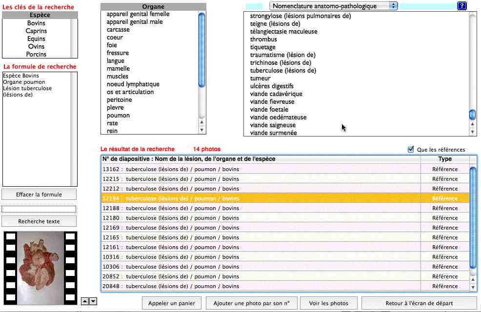 Ecran de recherche de photos