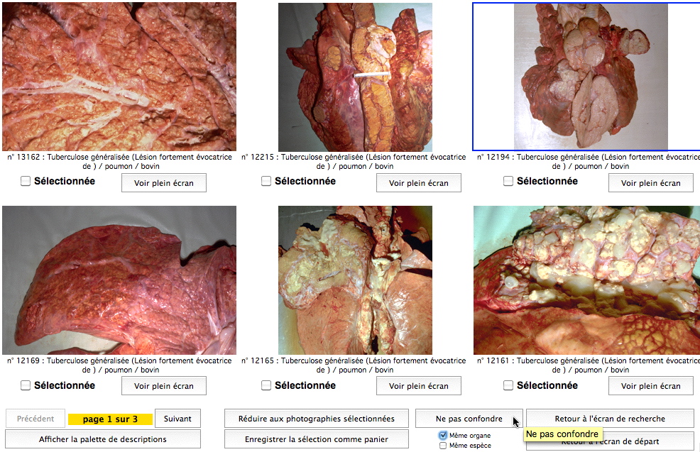 Planches de 6 photographies
