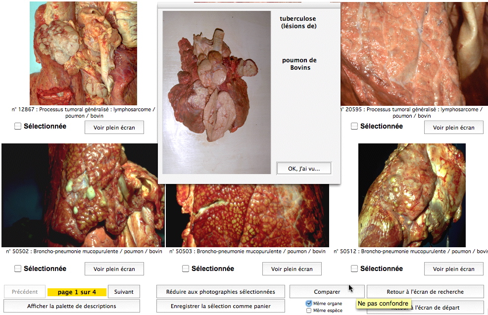 Comparaison de photographies
