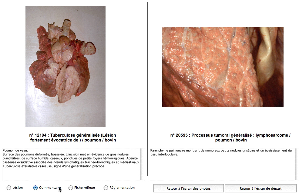 Comparaison de photographies