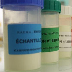 Responsables de laboratoires